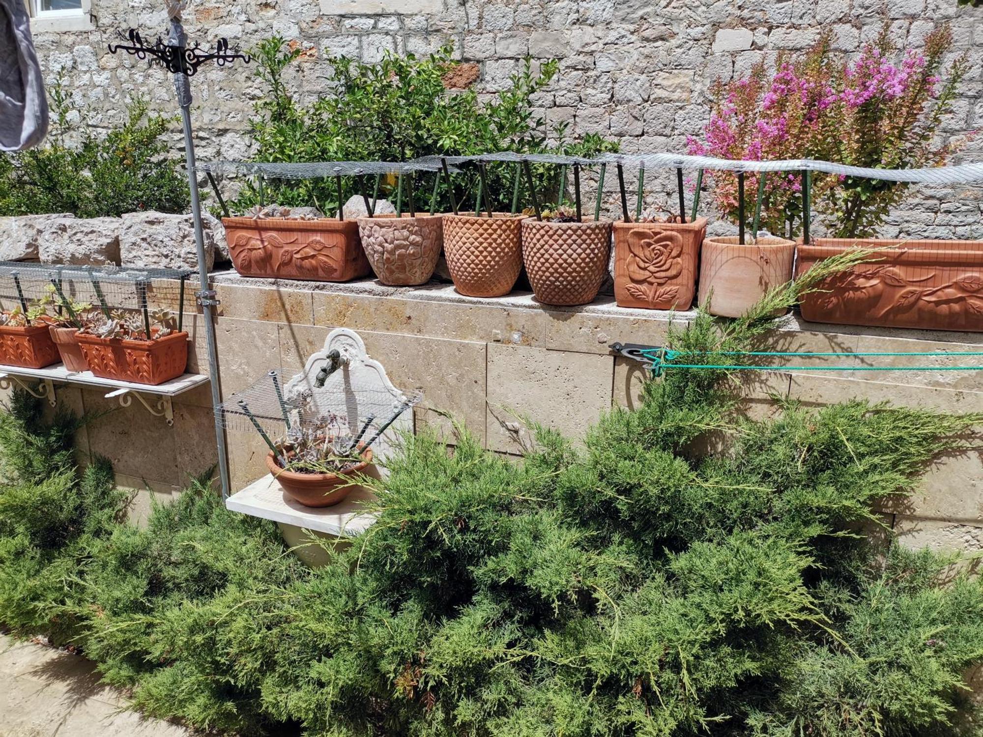 Apartment Alena + Terrace + Garden. Quiet Center